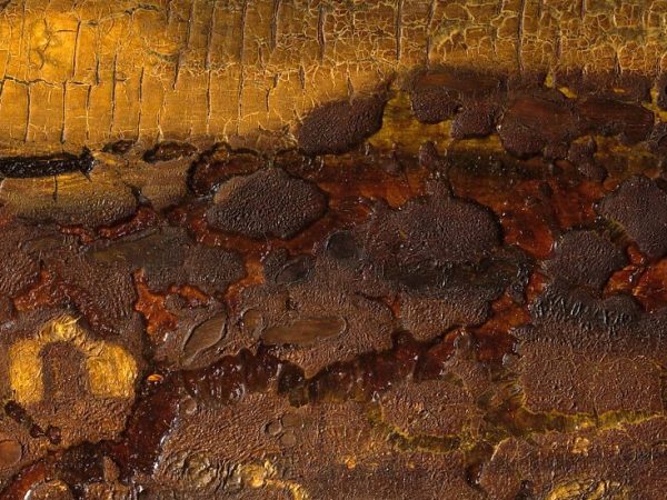 Letter From the Editor November, 2025: J’y tiens