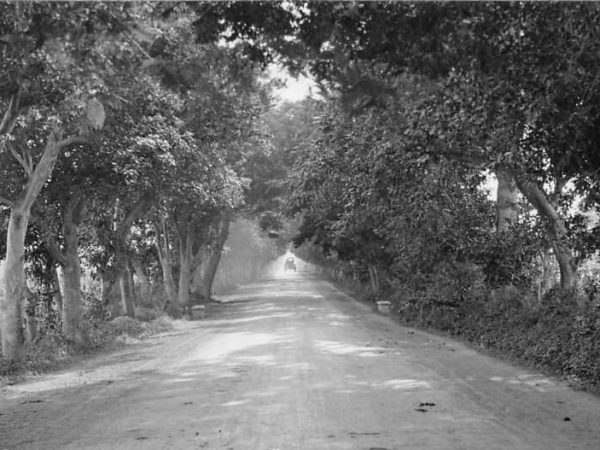 Magpies Mix Tape: Where I’m From