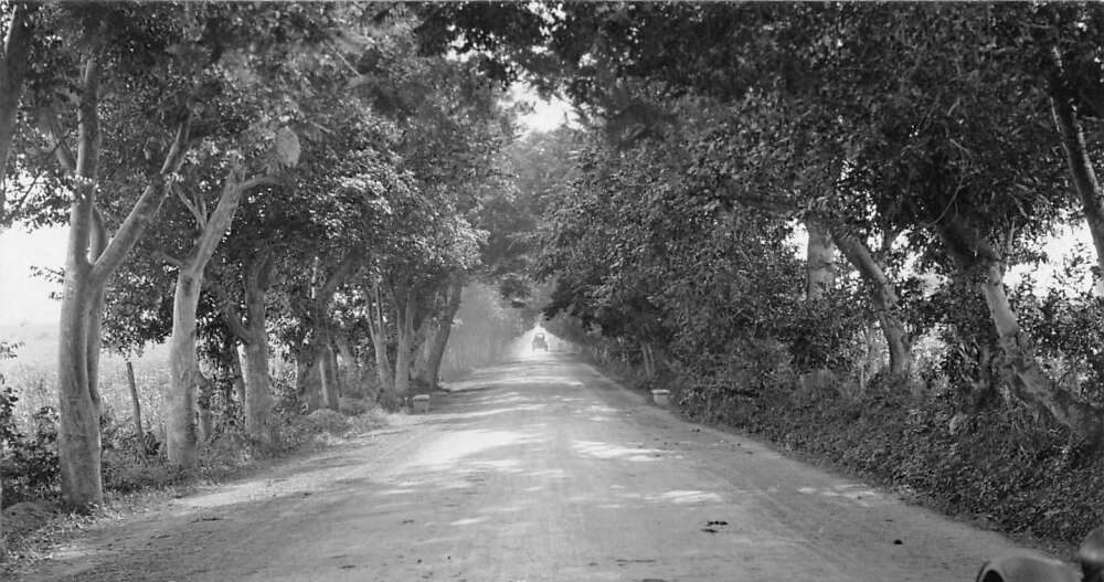 Magpies Mix Tape: Where I’m From