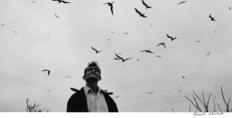 Through Graciela Iturbide’s Eyes: Ritual, Identity, and the Poetry of Mexico